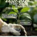 Akcija dobrovoljnog davanja krvi „Zelena krv”