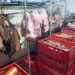 Uhapšen zbog krivičnog dela prenošenja zaraznih bolesti kod životinja i biljaka